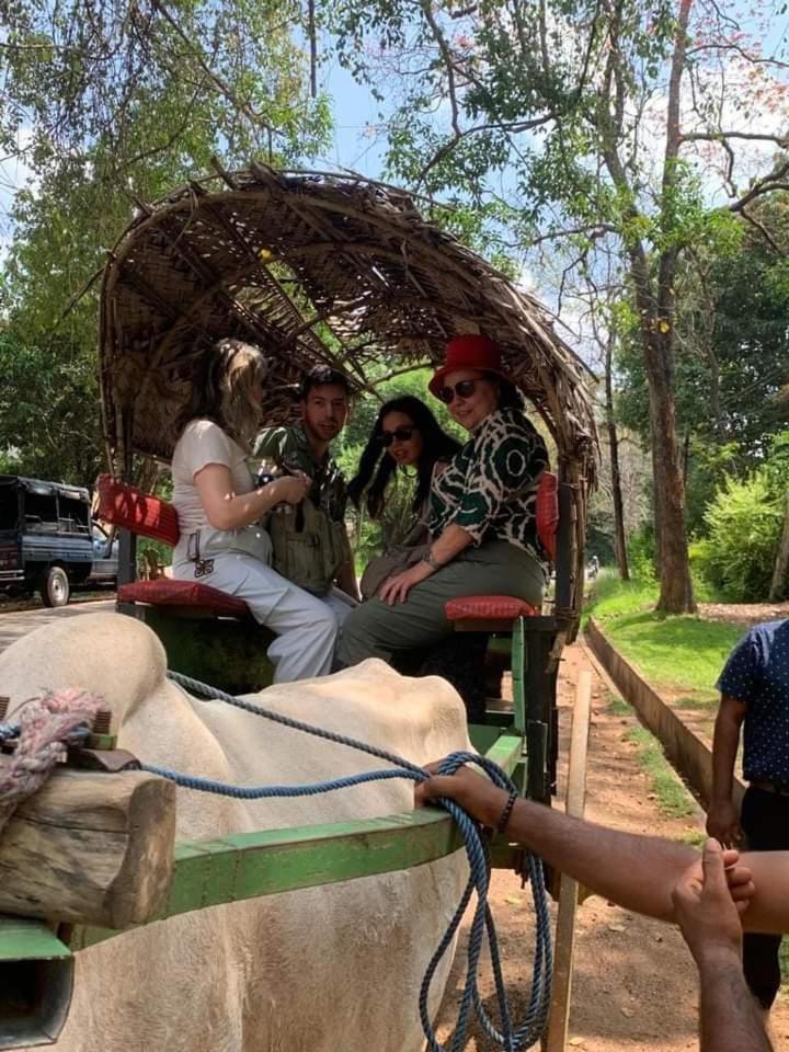 הבאראנה Elephant Safari Lodge Sigiriya Junction מראה חיצוני תמונה