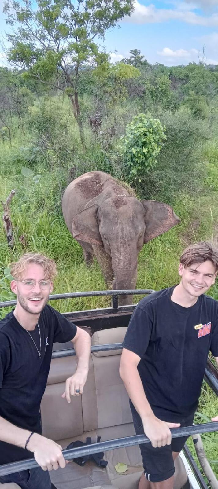 הבאראנה Elephant Safari Lodge Sigiriya Junction מראה חיצוני תמונה