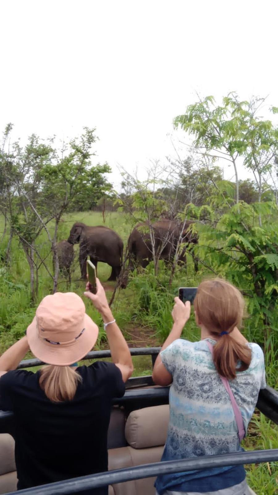 הבאראנה Elephant Safari Lodge Sigiriya Junction מראה חיצוני תמונה