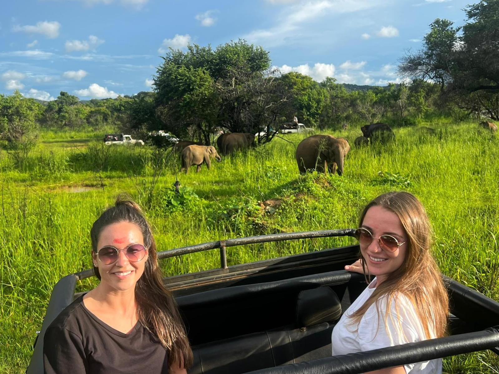 הבאראנה Elephant Safari Lodge Sigiriya Junction מראה חיצוני תמונה