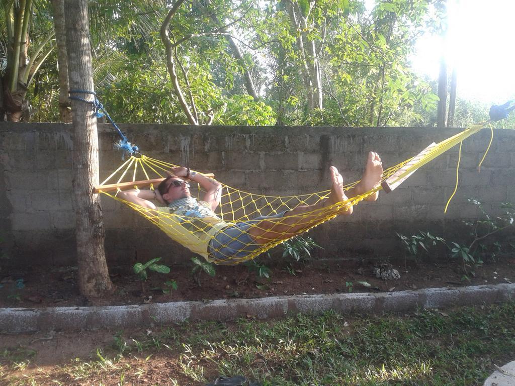 הבאראנה Elephant Safari Lodge Sigiriya Junction מראה חיצוני תמונה