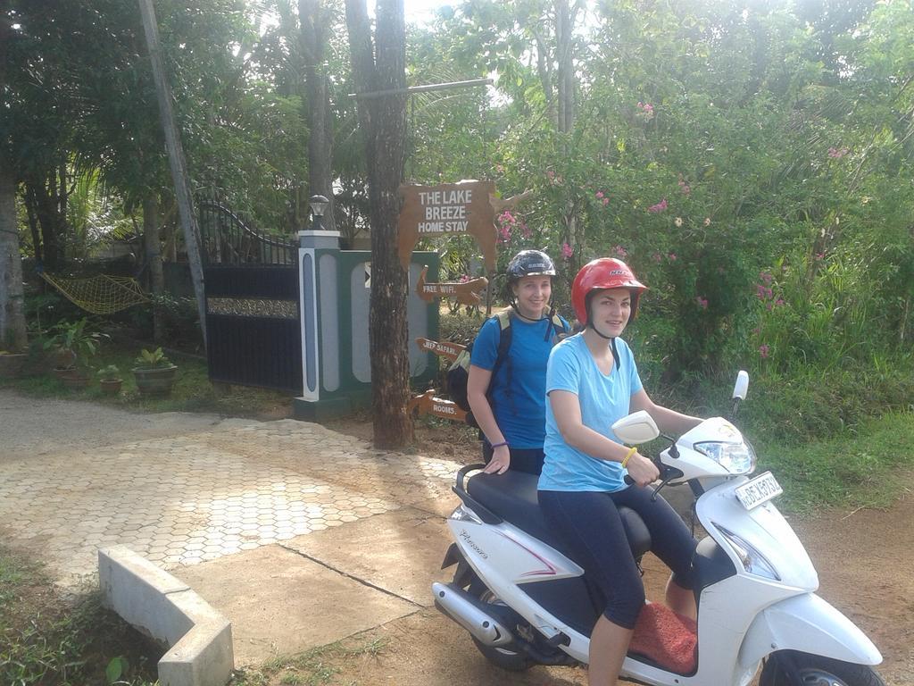 הבאראנה Elephant Safari Lodge Sigiriya Junction מראה חיצוני תמונה