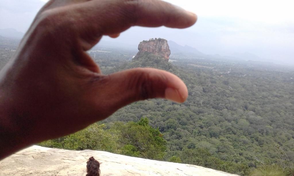 הבאראנה Elephant Safari Lodge Sigiriya Junction מראה חיצוני תמונה