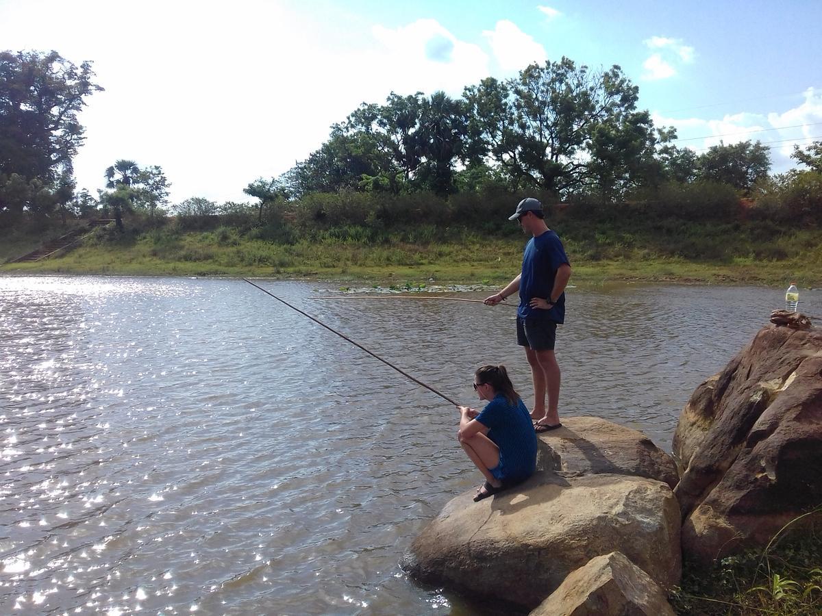 הבאראנה Elephant Safari Lodge Sigiriya Junction מראה חיצוני תמונה