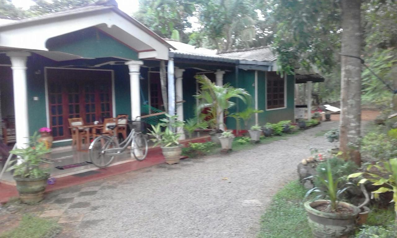הבאראנה Elephant Safari Lodge Sigiriya Junction מראה חיצוני תמונה
