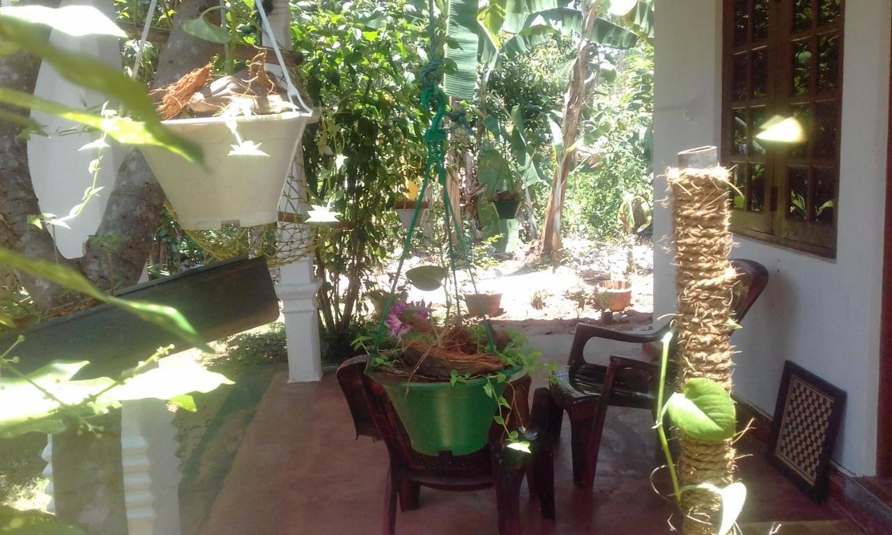 הבאראנה Elephant Safari Lodge Sigiriya Junction מראה חיצוני תמונה